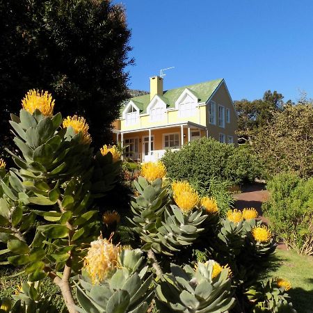 Villa La Paz Hout Bay Exterior foto
