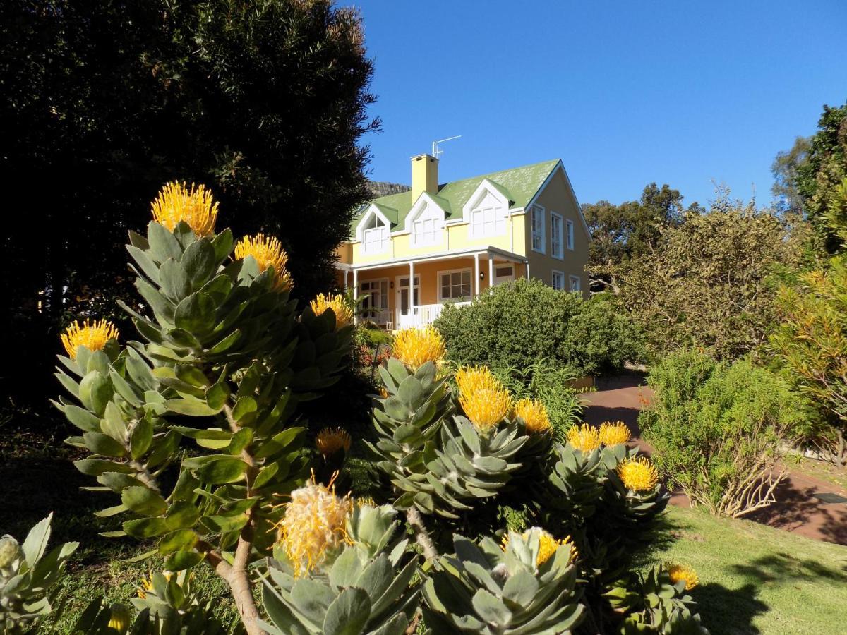 Villa La Paz Hout Bay Exterior foto